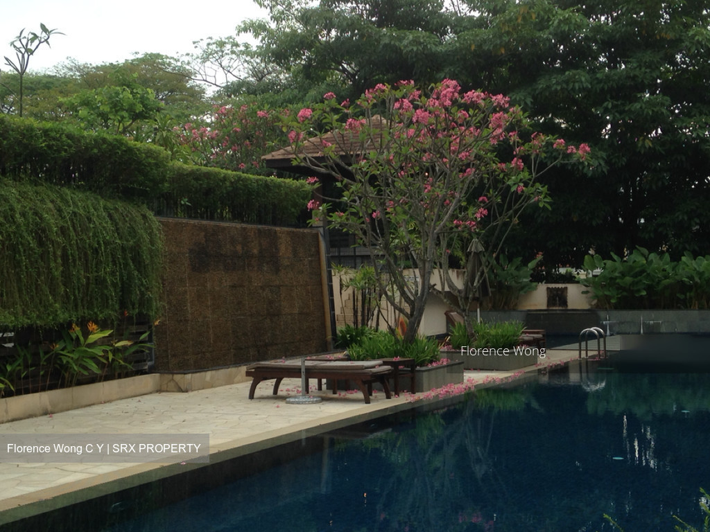 The Sensoria thumbnail photo